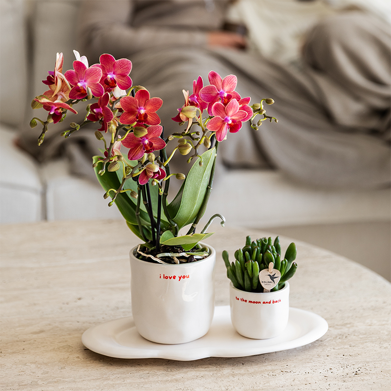 Kolibri Home | Pot décoratif I love you - Ø9cm
