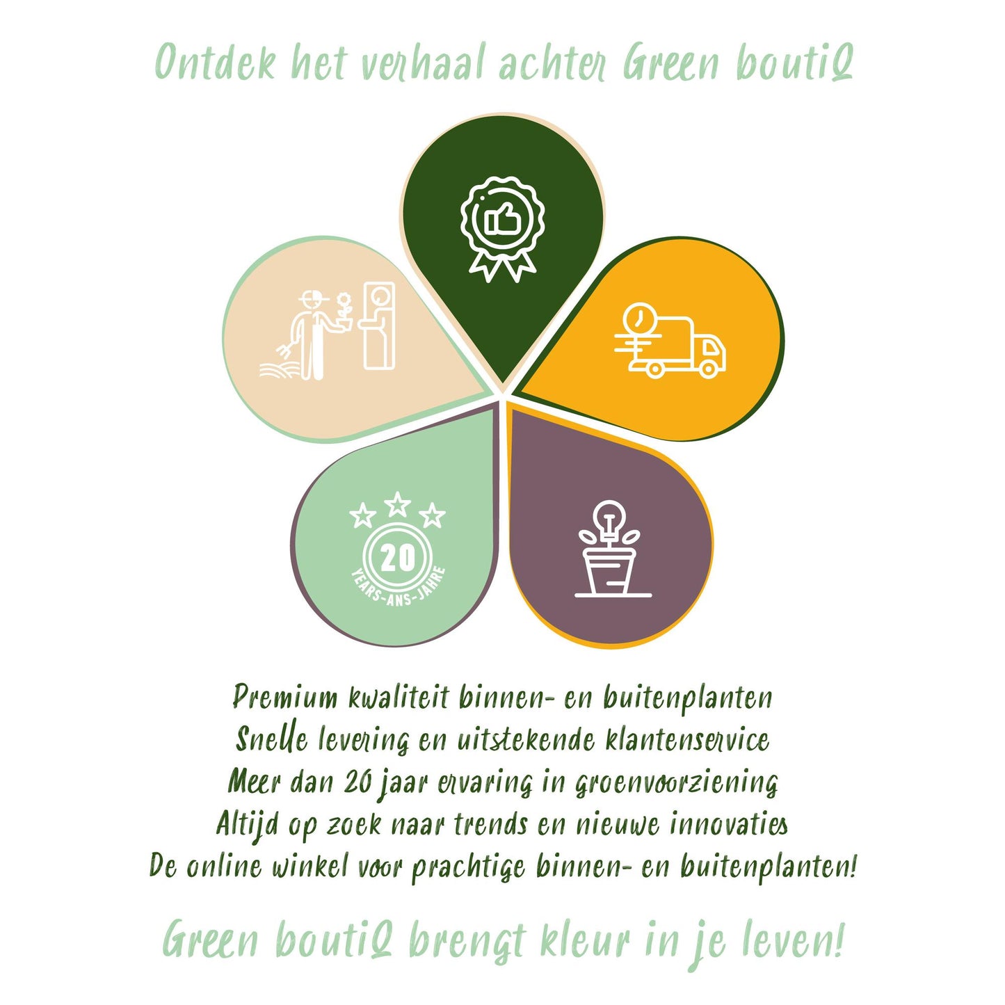 Green boutiQ - Bloembollen - Bulbs From Holland - Diversen Kleuren - 125 stuks - Gift Verpakking