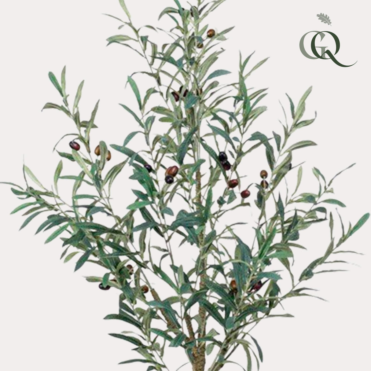 Kunst Olijfboom - Olea europaea - Olijfboom - 115 cm