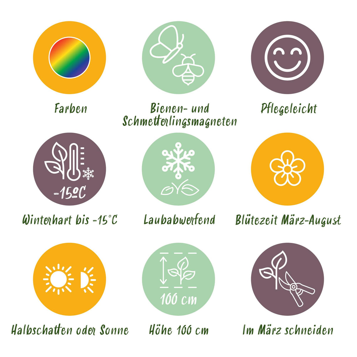 Borderpakket - Bijen en Vlinderlokkend - 8 Vaste planten - 1 m2 - Diversen kleuren - Weinig Onderhoud - Pot 11cm