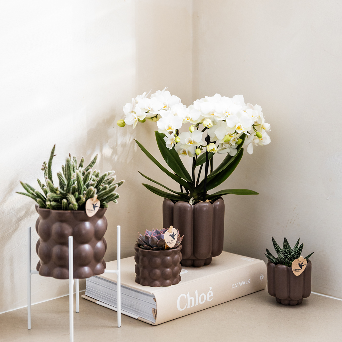 Kolibri Home | Pot décoratif rétro - Marron - Ø6cm