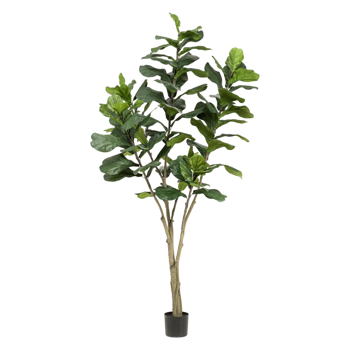 Plante artificielle - Ficus Lyrata - Plante tabac - 210cm