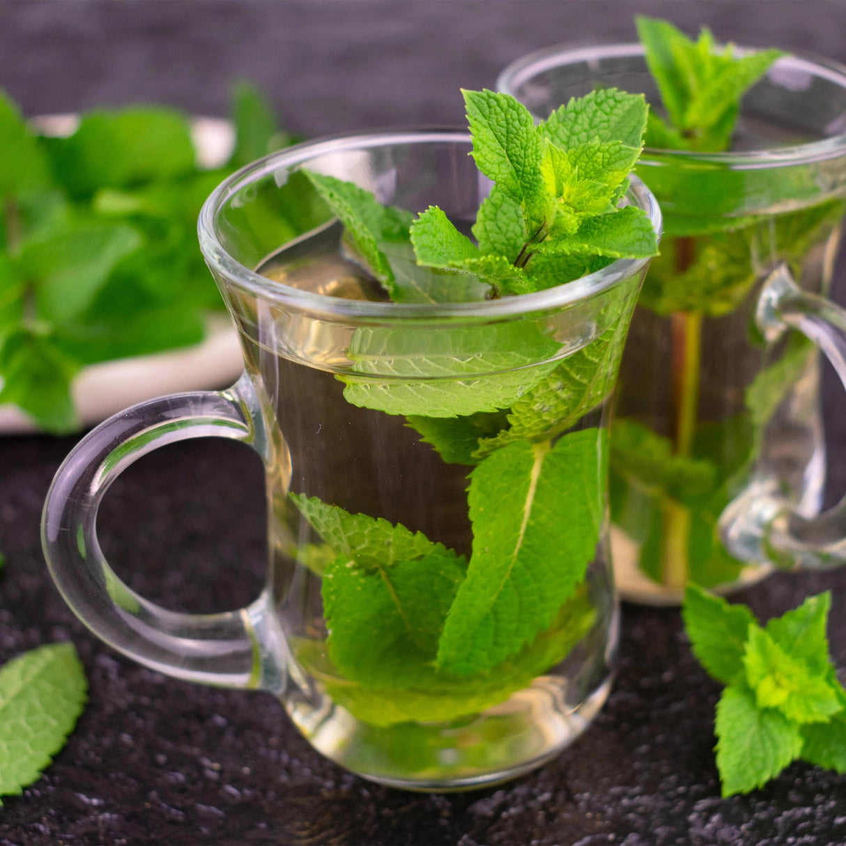 Borderpakket - Thee kruiden - 8 Vaste planten - 1 m2 - Diversen kleuren - Weinig Onderhoud - Pot 11cm