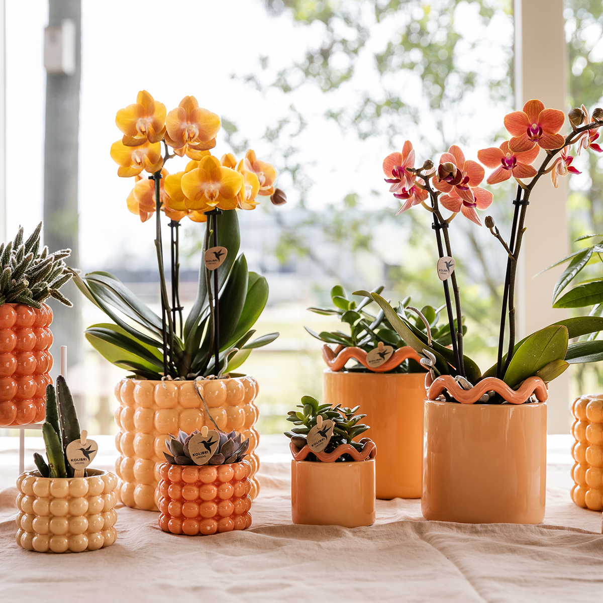 Kolibri Home | Pot décoratif Poppy - Orange - Ø6cm