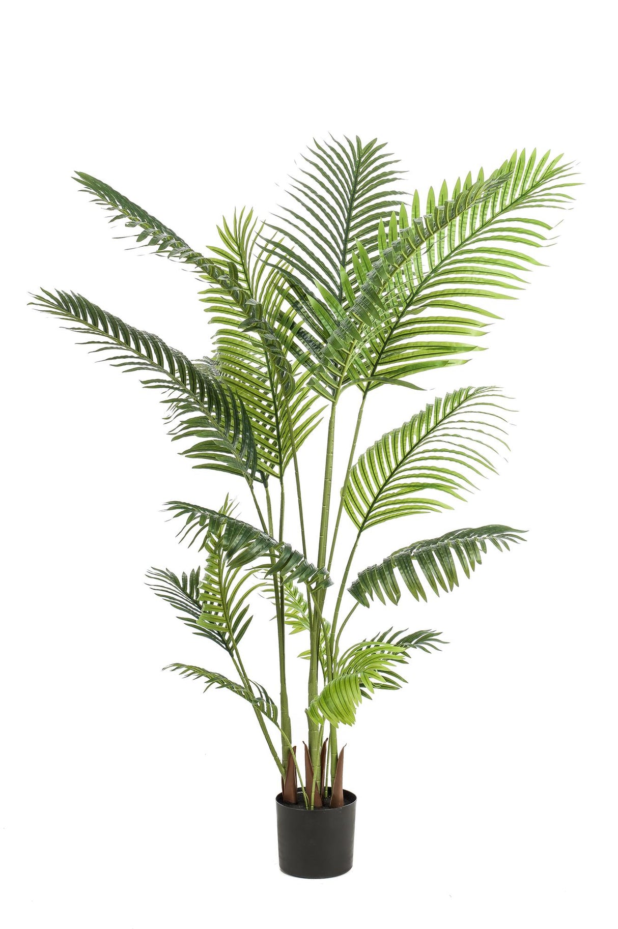 Kunstplant - Howea Forsteriana - 160 cm