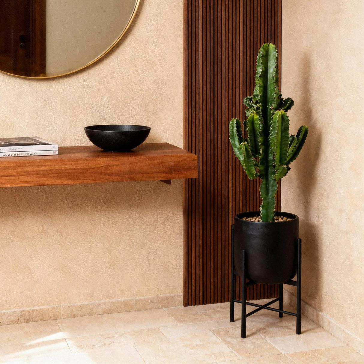 Green boutiQ - Kamerplant - Euphorbia eritrea - Afrikaanse melkboom - Weinig onderhoud - Groen - 2 - Pot 17cm - Hoogte 60cm