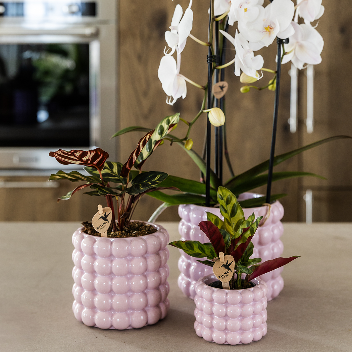 Kolibri Home | Poppy Dekotopf - Pink - Ø6cm