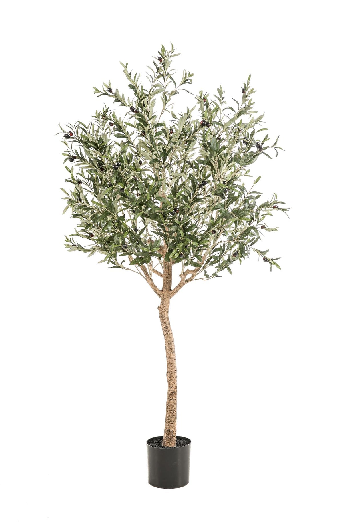 Kunst Olijfboom - Olea europaea - Olijfboom - 180 cm