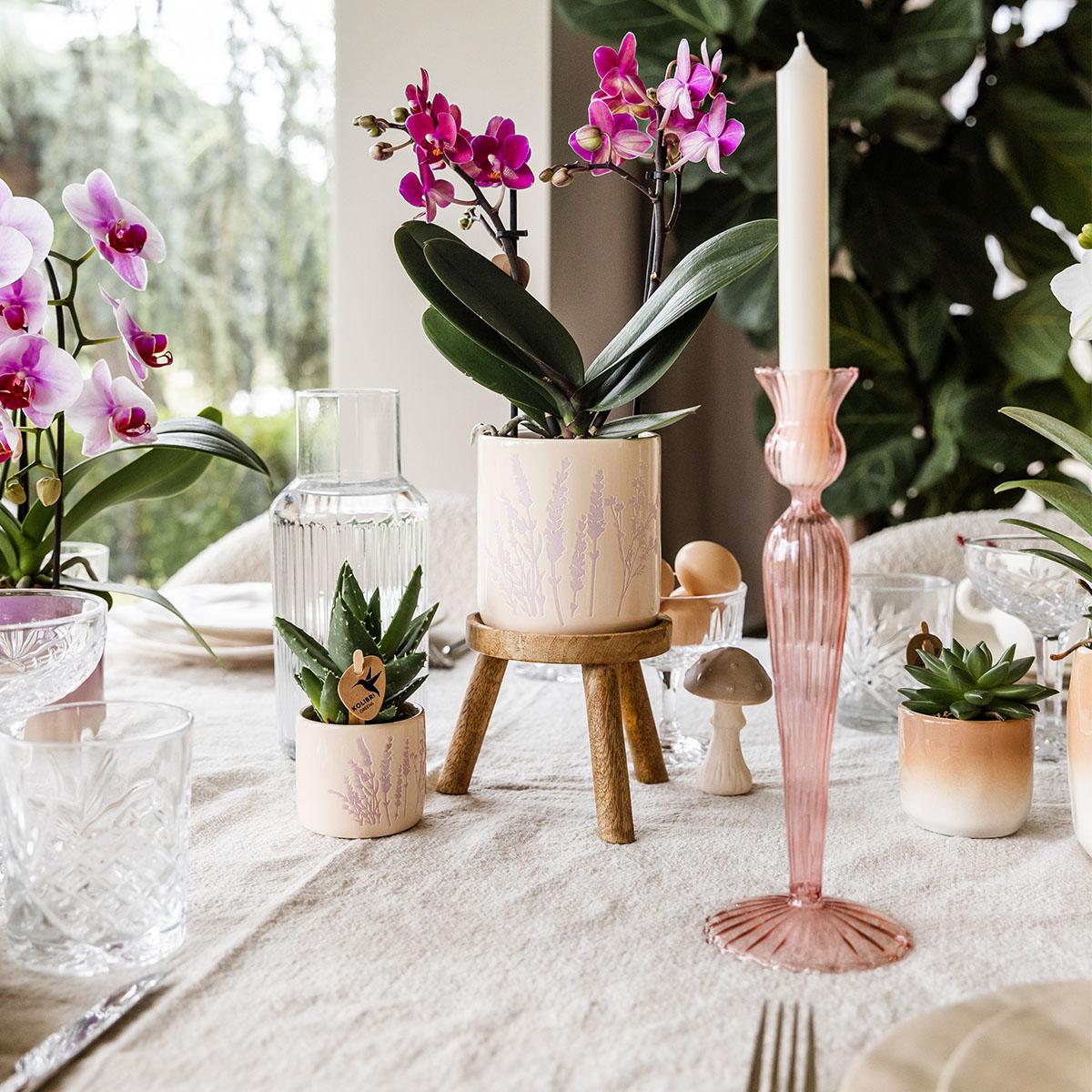 Kolibri Home | Floral bloempot - Lavendel - 6cm