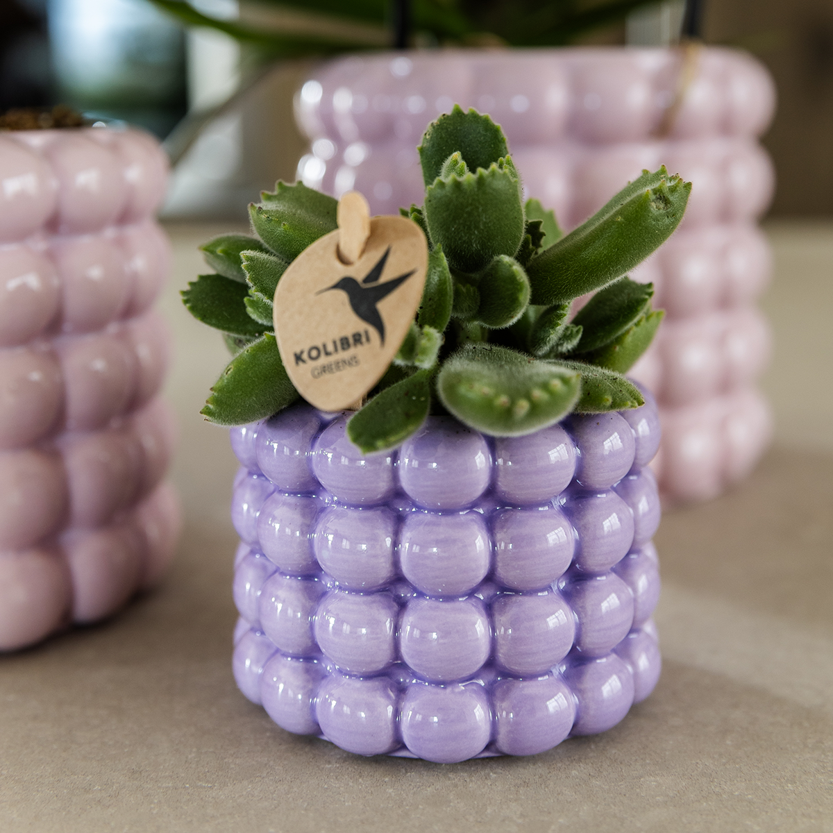 Kolibri Home | Pot décoratif Poppy - Violet - Ø6cm