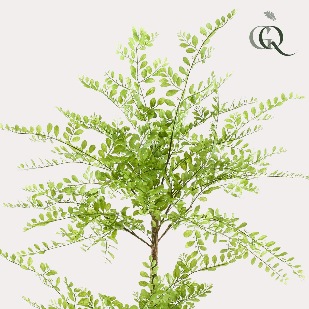 kunstplant - Sophora tree - Honingboom - 140cm