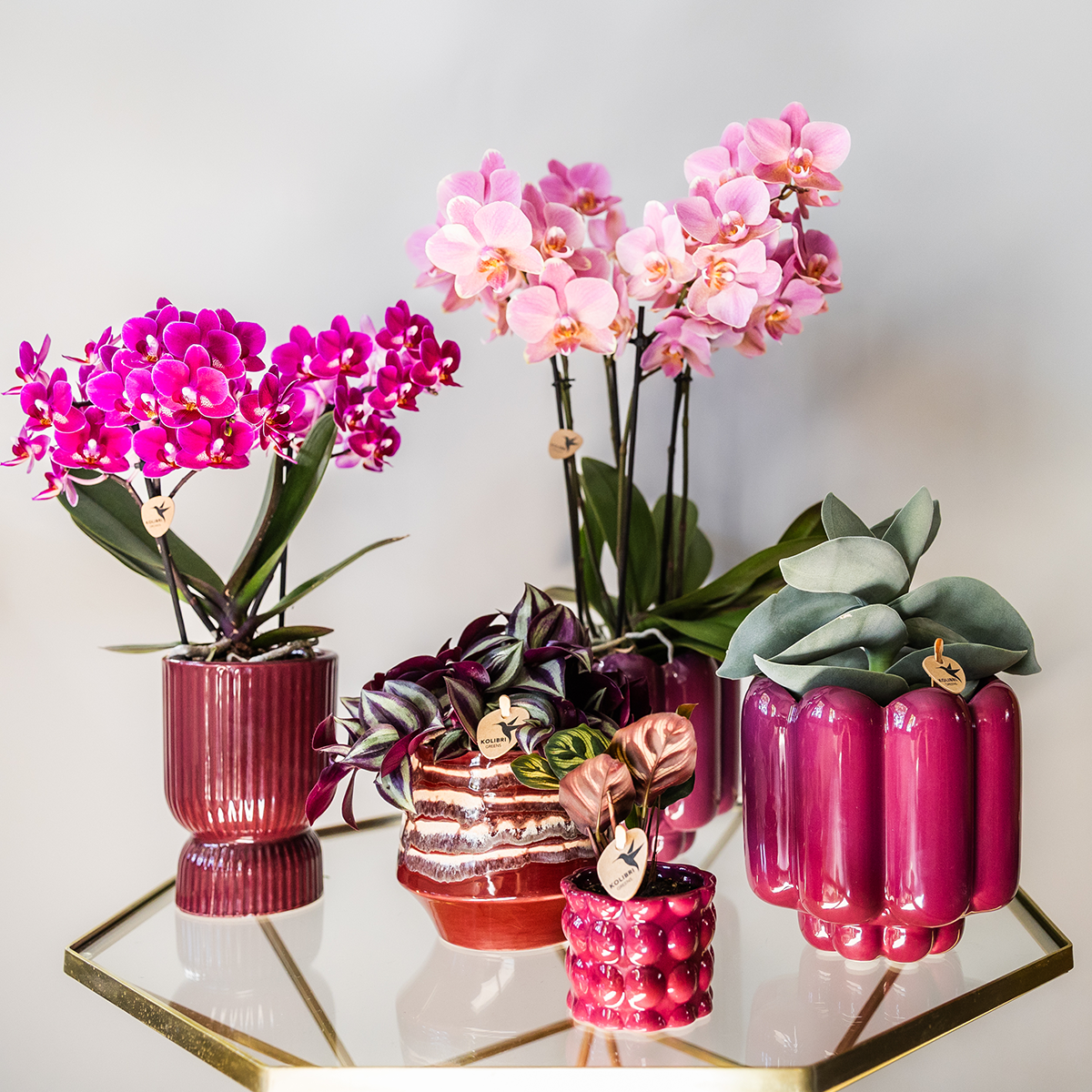 Kolibri Home | Diabolo sierpot | Ø9cm - Burgundy