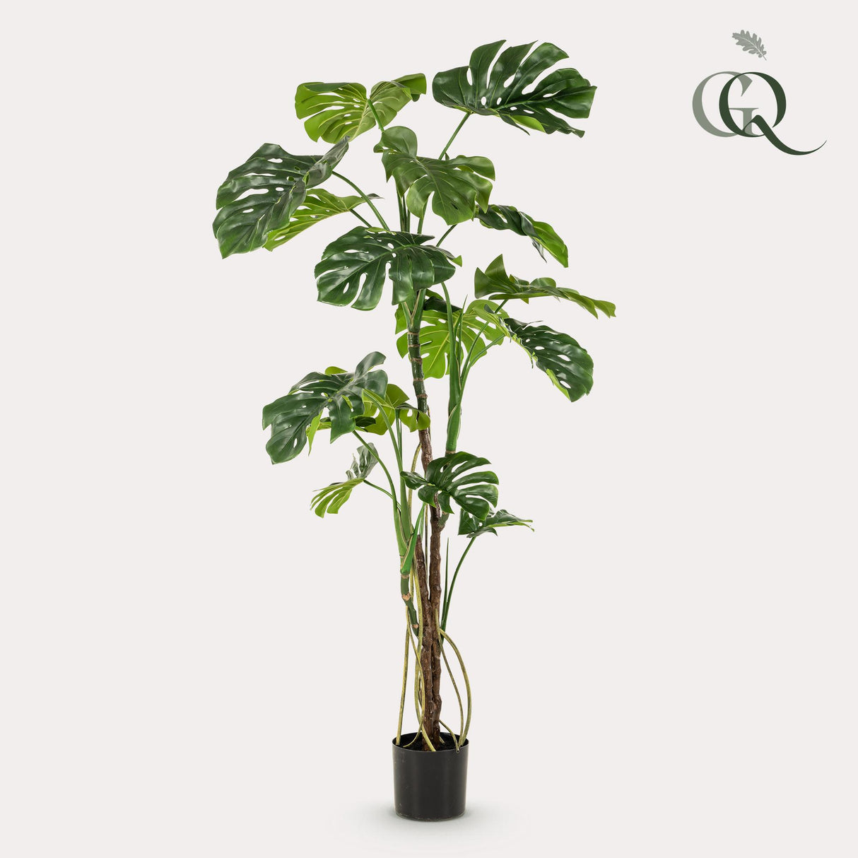 kunstplant - Monstera - Gatenplant - 180cm