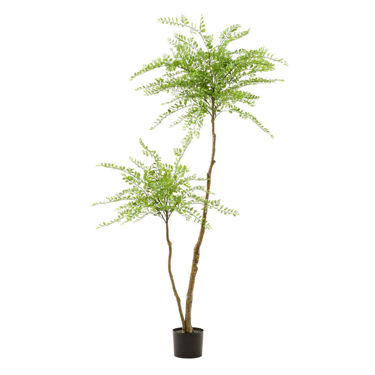 kunstplant - Sophora tree - Honingboom - 190cm