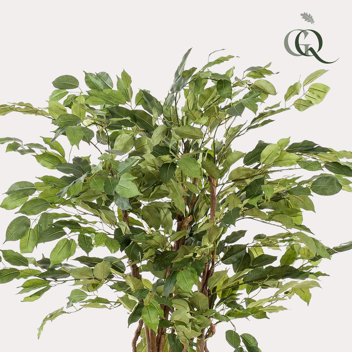 kunstplant - Ficus liana - Vioolbladplant - 140cm