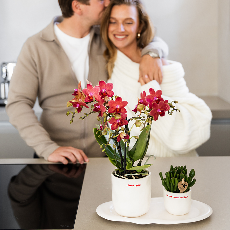 Kolibri Home | Pot décoratif I love you - Ø6cm