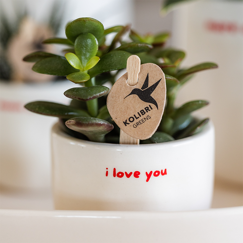 Kolibri Home | Pot décoratif I love you - Ø6cm
