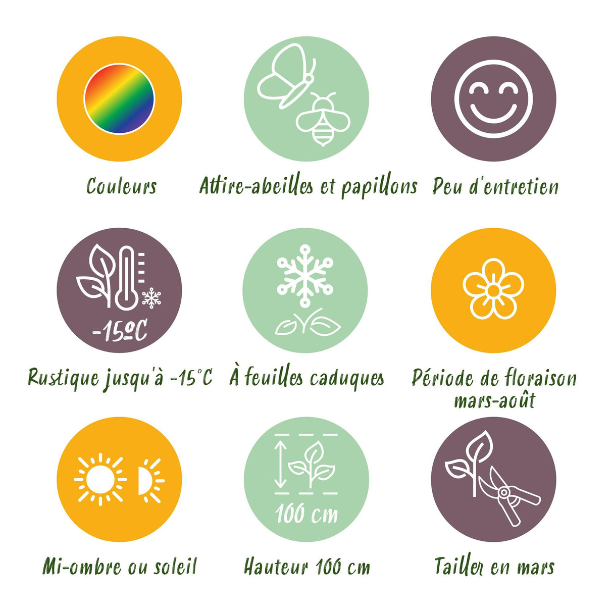 Borderpakket - Kleur Wit - 8 Vaste planten - 1 m2 - Diversen kleuren - Weinig Onderhoud - Pot 11cm