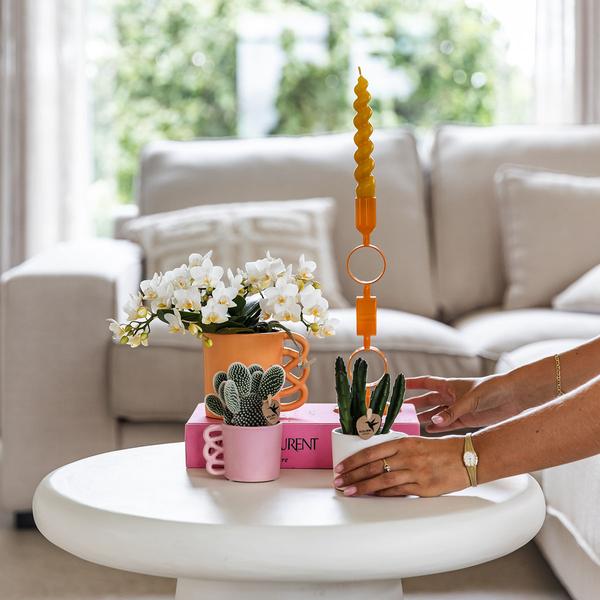 Witte phalaenopsis orchidee - Nazaré - potmaat Ø9cm