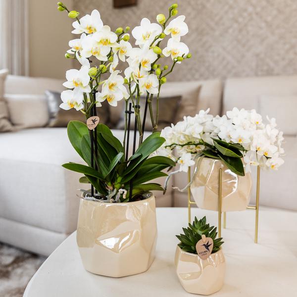 Pearl pot - Travertine - Ø12cm