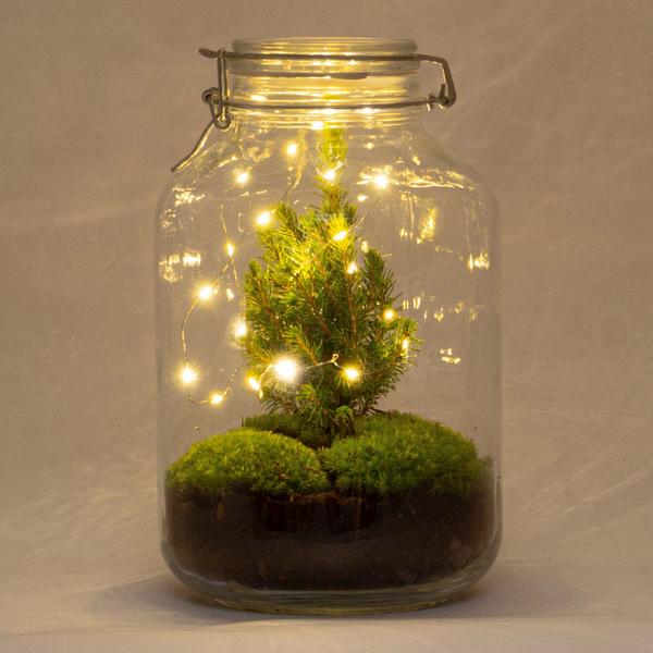 DIY - Kerst terrarium ↕28cm - Ø18cm