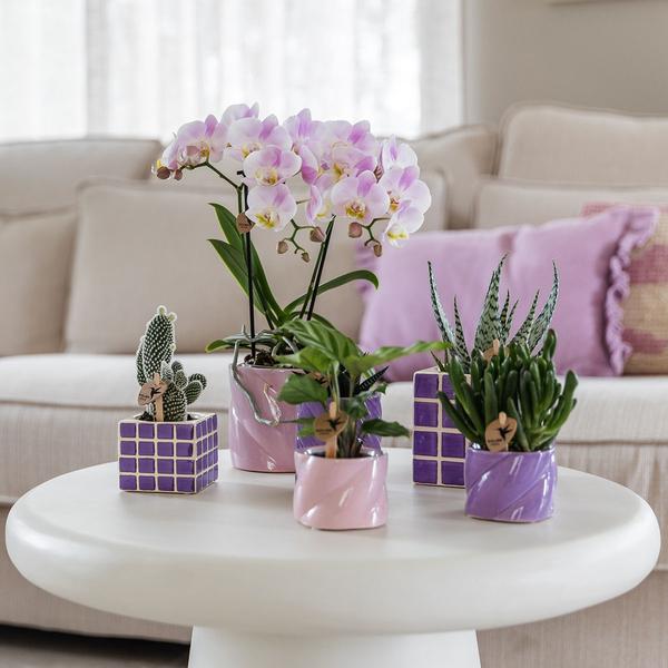 Kolibri Home | Candy Zierpot - Pink - Ø6cm