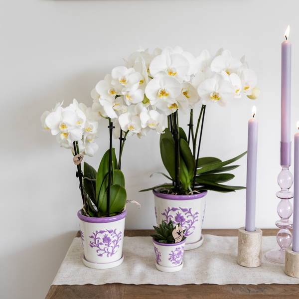 Malaga pot - Lilac - Ø12cm