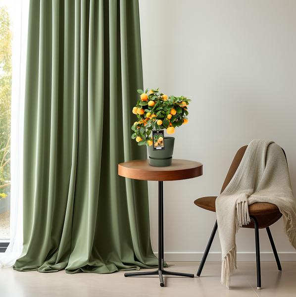 Kleine Oranger - ↕40cm - Ø15cm