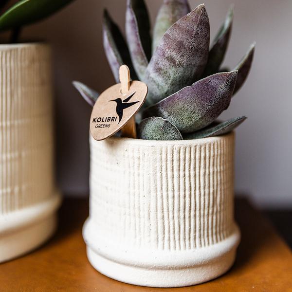 Bali sierpot - Gebroken Wit - Ø6cm