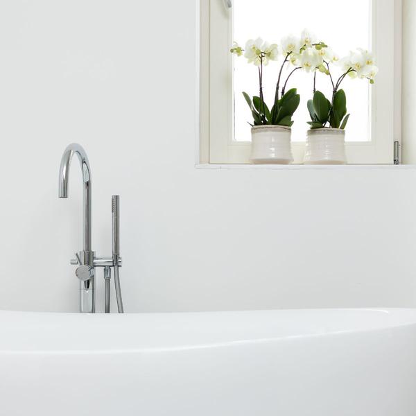 Witte Phalaenopsis orchidee - Jewel Ghent - potmaat Ø12cm