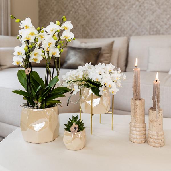 Pearl pot - Travertine - Ø12cm