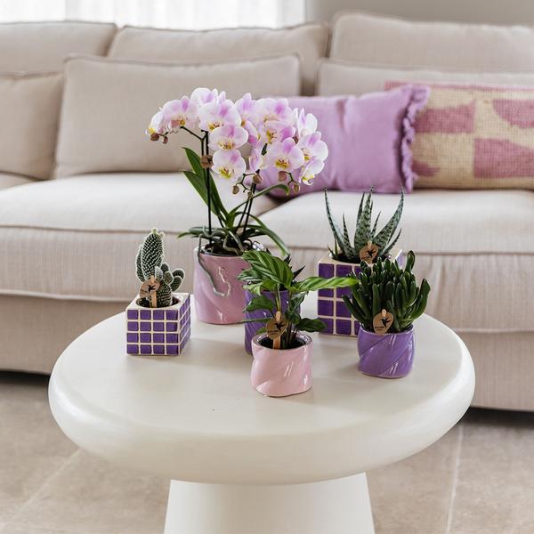 Kolibri Home | Candy Zierpot - Pink - Ø6cm