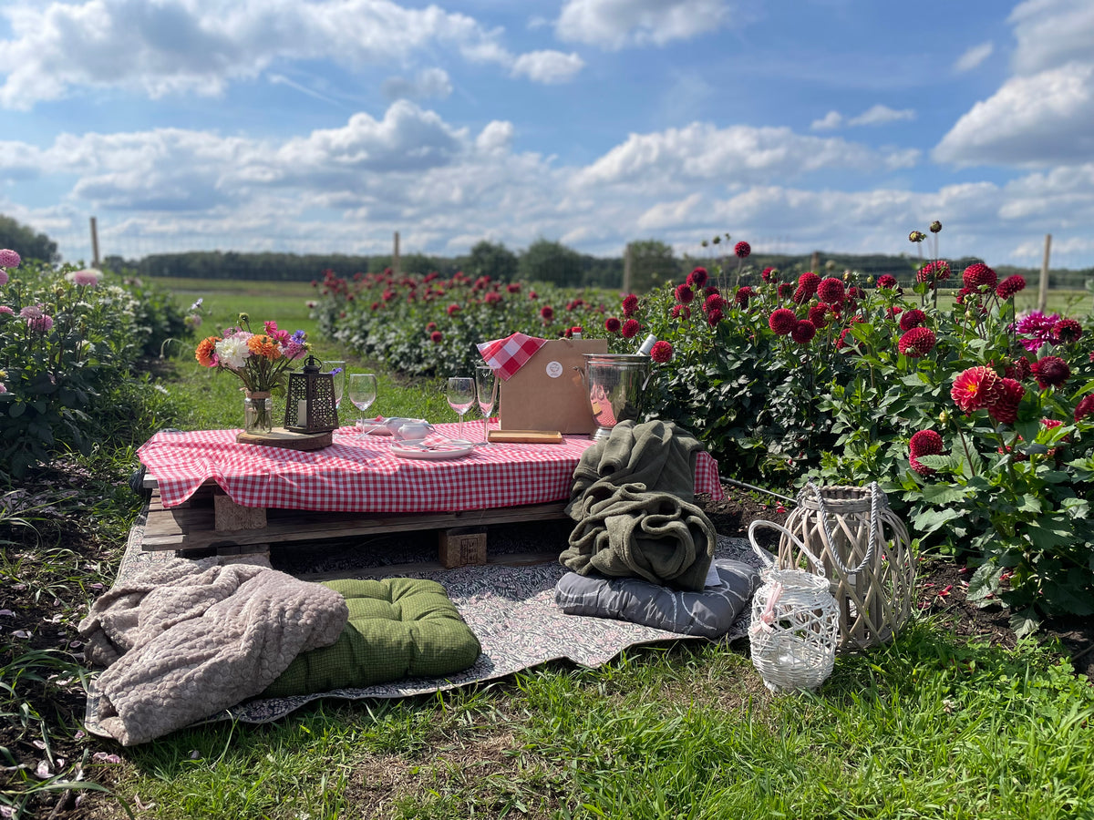 Culinaire picknick in onze bloemenpluktuin met live saxofoon muziek 19/09/2026