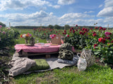 Culinaire picknick in onze bloemenpluktuin met live saxofoon muziek 19/09/2026