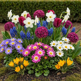 Green boutiQ - Bloembollen - Bulb Garden mix - Diversen soorten en kleuren - 125 stuks - Gift Verpakking