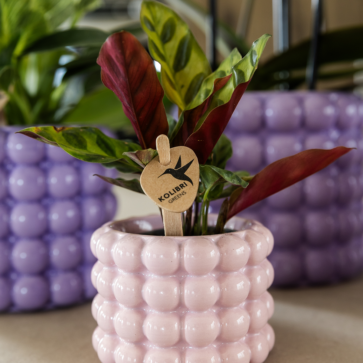 Kolibri Home | Pot décoratif Poppy - Rose - Ø6cm