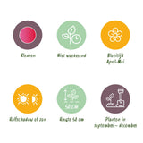 Green boutiQ - Bloembollen - Tulp Triumph Pink - Kleur Roze - 15 stuks - Bolmaat 11/12 - XXL Pack