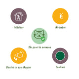 Chamaedorea elegans - Goudpalm - Huisdiervriendelijke Plant - Groen - 2 Planten - met Potter Wit - Pot 12cm - Hoogte 15cm