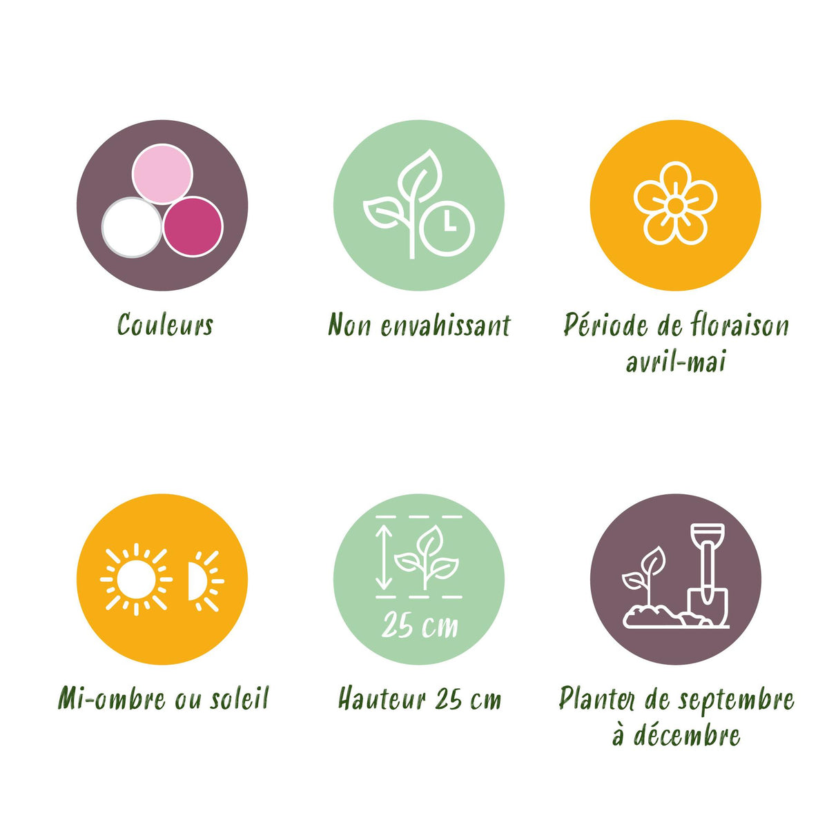 Green boutiQ - Bloembollen - Hyacinth Pastel mix - Diversen Pastel Kleuren - 10 stuks - Bolmaat 14/15 - XXL Pack