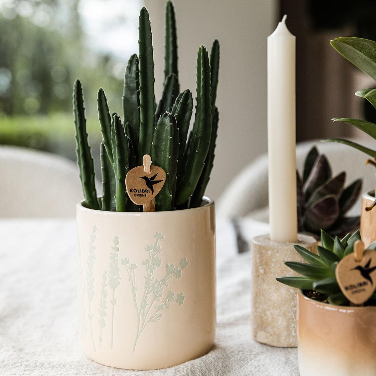 Kolibri Home | Floral bloempot - Light Blue - 9cm