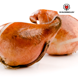 Tulpenbollen Dafeng – 20 Stuks | KH Bloembollen® | Oranje Tulp – Grootbloemig & Elegant – Voor Tuin of Pot – Maat 11/12 – Vers van de Teler!