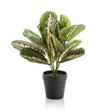 Maranta groen - 30cm - In zwarte pot - Kunstplant