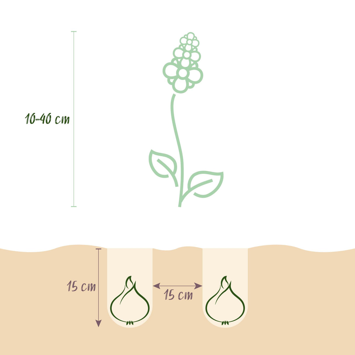 Green boutiQ - Bloembollen - Bulb Garden mix - Diversen soorten en kleuren - 125 stuks - Gift Verpakking