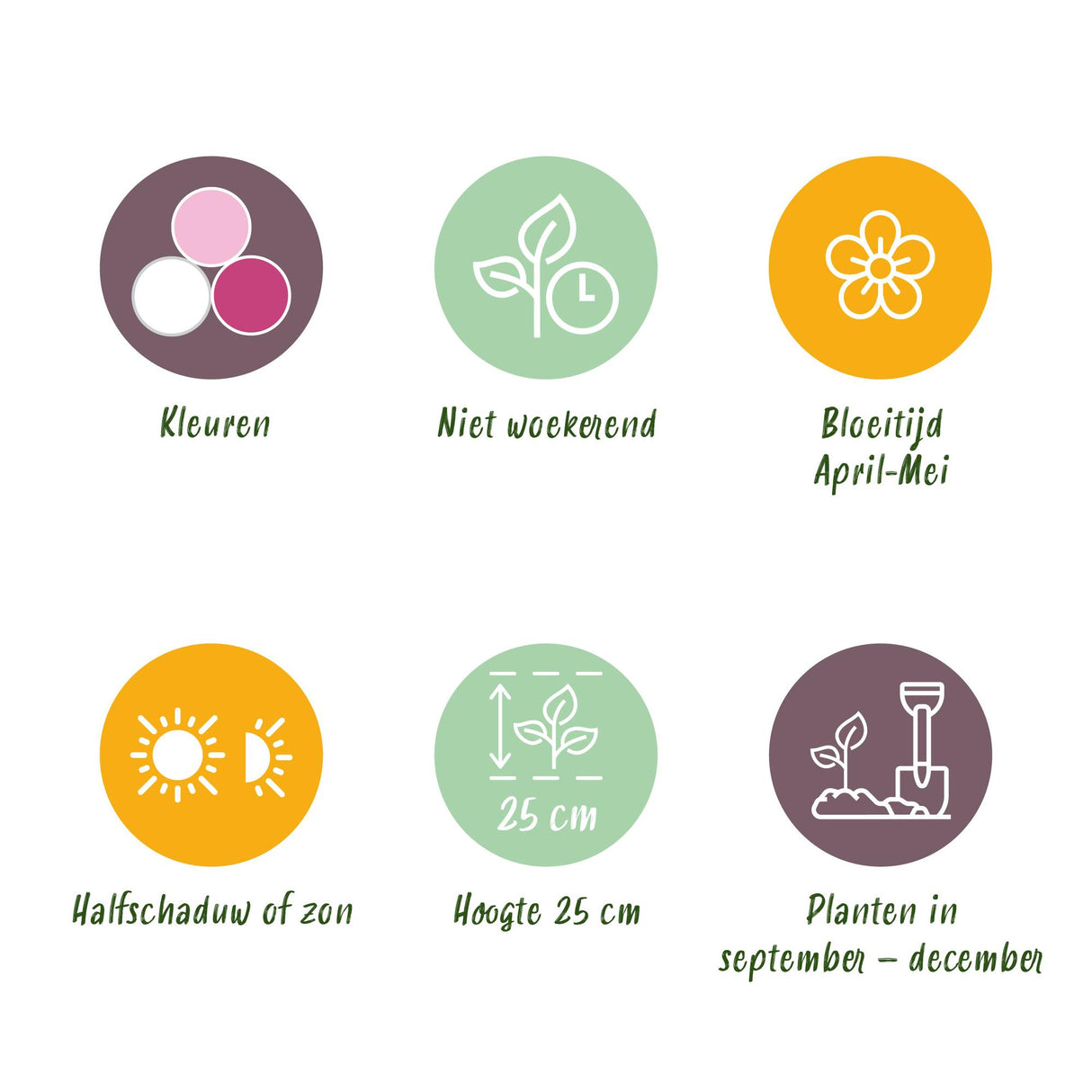 Green boutiQ - Bloembollen - Hyacinth Pastel mix - Diversen Pastel Kleuren - 10 stuks - Bolmaat 14/15 - XXL Pack