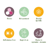 Green boutiQ - Bloembollen - Hyacinth Pastel mix - Diversen Pastel Kleuren - 10 stuks - Bolmaat 14/15 - XXL Pack