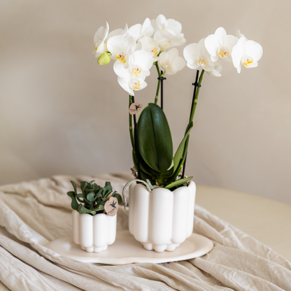 Kolibri Home | Retro sierpot - White - Ø6cm