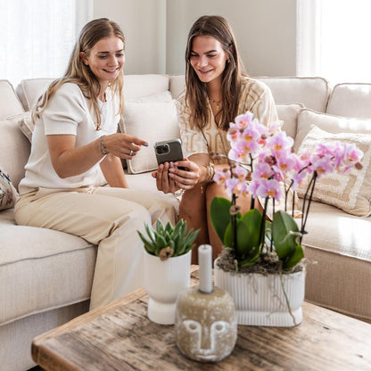 Kolibri Home | Diabolo twin sierpot - White