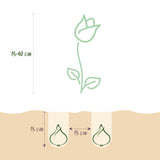 Green boutiQ - Bloembollen - Bulbs From Holland - Diversen Kleuren - 125 stuks - Gift Verpakking