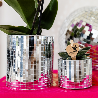 Kolibri Home | Disco sierpot - Ø9cm