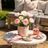 Green boutiQ - Bloembollen - Tulp Double Sensation - Kleur Wit en Roze - 12 stuks - Bolmaat 11/12 - XXL Pack